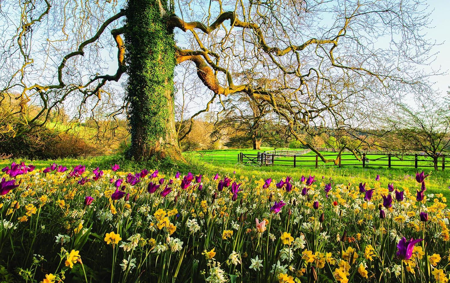 imageMartha Stewarts Gardening Handbook The Essential Guide to Designing Planting and Growing