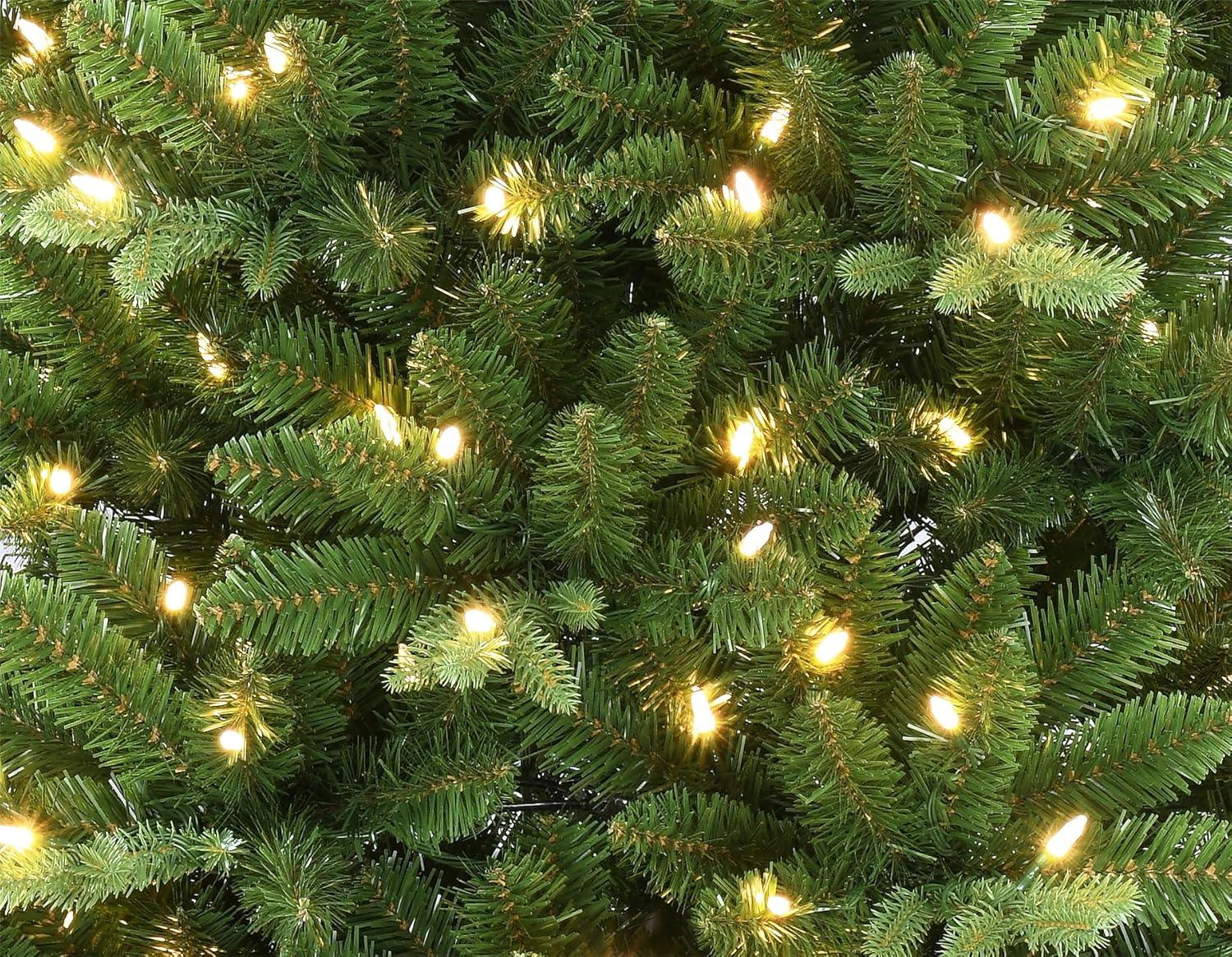 imageMartha Stewart Acadia Spruce Green Tree with 200 LED Lights 5 Feet Tall