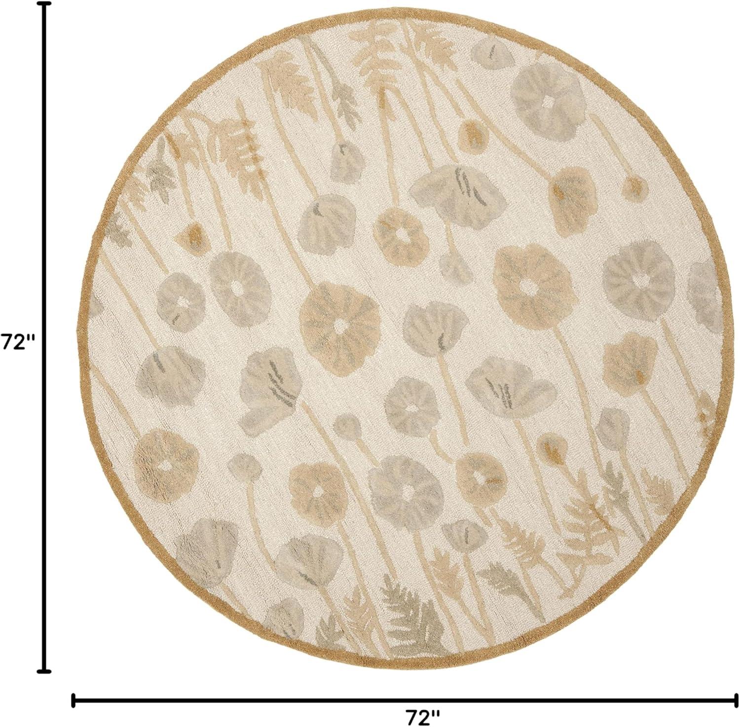 imageMartha Stewart x SAFAVIEH Area Rug Collection  4 x 6 Cayenne Red Handmade Wool ampamp Viscose Ideal for Living Room Foyer Bedroom Accent Space MSR3627BNutshellBrown