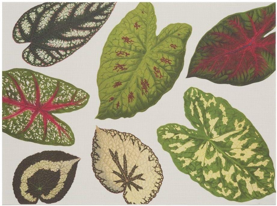 imageMartha by Martha Stewart Chilewich Scattered Leaf Placemat Set of 4 Easy Care Woven Tabletop Textile IndoorOutdoor 185quot x 135quot Rectangle