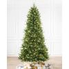 Martha Stewart Acadia Spruce Green Tree with 200 LED Lights, 5 Feet Tall