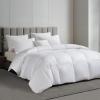 Martha Stewart Tencel™ Lyocell/Cotton Blend White Goose Feather and Down Fiber Comforter – Medium Weight All Season Warmth – Twin Size(Full/Queen)