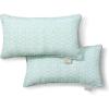 Martha Stewart Vineyard Vines Indoor Outdoor Decorative Pillow 2-Pack Set, UV Fade Resistant, Water Repellent, Printed Garden Design, Green, 18″x18″(Aqua Blue)