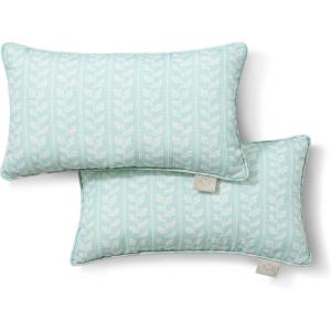 Martha Stewart Vineyard Vines Indoor Outdoor Decorative Pillow 2-Pack Set, UV Fade Resistant, Water Repellent, Printed Garden Design, Green, 18″x18″(Aqua Blue)