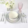 Martha Stewart Perry Street 12pc Stoneware Reactive Dinnerware Set – White w/Blue Rim
