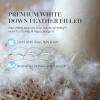 Martha Stewart 3 Inch White Down Feather Mattress Topper – Queen Size Fluffy White Feather Bed Topper 100% Cotton Cover Fabric Ultra Soft Pillow Top Featherbed for Bedroom（60″ x 80″）(Queen)