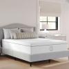 Martha Stewart SleepComplete Twin Mattress in a Box, Firm Pocket Spring and Foam Hybrid Mattress, Dual-Action Cooling, 5-Way Zoning, Coolweave Cover, 12 “, White(Full)