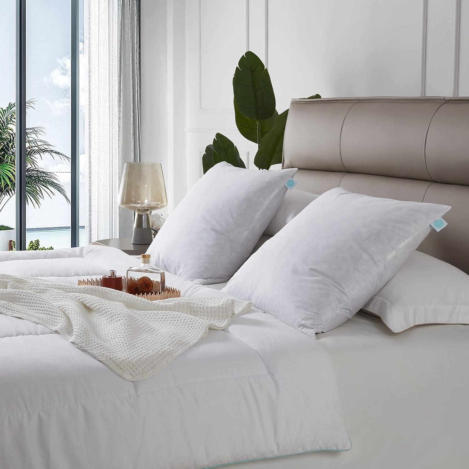 image:imageMARTHA STEWART Square Couch and Bed Decorative Pillows 2 Pack Throw Insert for CoversEuro Size 26 x2620X20Pack of 2