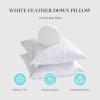 MARTHA STEWART Square Couch and Bed Decorative Pillows 2 Pack Throw Insert for Covers-Euro Size, 26” x26”(26″X26″(Pack of 2))