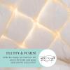 Martha Stewart 240 Thread Count White Goose Down and Feather Comforter – All Season Warmth Duvet Insert with Corner Tabs Made in USA – King Size(Full/Queen)
