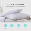 Martha Stewart Tencel Lyocell/Cotton Blend White Feather Down Pillow Medium Firm-2 Pack-King Size Bed Pillow, 2 Count(Jumbo)