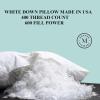 Martha Stewart White Down Pillows 600 Fill Power Luxury Hotel Bed Pillow Cooling Breathable Sleeping Pillows Made in USA(Jumbo(Set of 1 Pack))