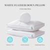 Martha Stewart White Feather Down Pillow Soft-Medium Jumbo Size 2 Pack Bed Pillow for Side Sleeper
