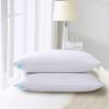 Martha Stewart Tencel Lyocell/Cotton Blend White Feather Down Pillow Medium Firm-2 Pack-King Size Bed Pillow, 2 Count(Jumbo)