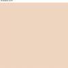 Martha by Martha Stewart Interior Paint, ECO Satin Enamel 1.0L Bedford Gray(Powder Puff Pink)