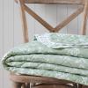 Martha Stewart – Queen Quilt Set, 100% Soft Cotton Floral Bedding for Year Round Comfort, 3 Piece Bed Set with Matching Pillowcases (Chloe Green)(French Bird Floral Green)