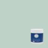 Martha by Martha Stewart Interior Paint, Eurolux Interior Flat 0.5L Batter Bowl Green