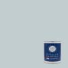 Martha by Martha Stewart Interior Paint, Eurolux Interior Flat 1.0L Porch Ceiling Blue