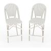 Martha Stewart Lily Pond Indoor-Outdoor Stackable Counter Stool with Natural Woodgrain Aluminum Frame Finish and White/Navy Woven Rattan Backrest and Seat(Gray & White/Gray Frame)
