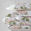 Martha Stewart – Queen Duvet Cover Set, 100% Smooth & Silky Sateen Cotton Bedding with a Cotton Percale Reverse, 3 Piece Cottage Bedding with Matching Pillowcases (Farmhouse Toile Blue)(Geranium Bloom Pink)