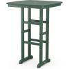 Martha Stewart by POLYWOOD® Chinoiserie 3-Piece Bar Set in Mahogany(Green)