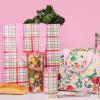 Martha Stewart Double Wall Tumbler with Lid and Reusable Straw, Floral Plastic Cup, Insulated Travel Cup Holds 24 Ounces (Joyful Blooms)(Joyful Blooms)