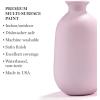 Martha Stewart, Craft Paint, Rock Candy, 8 fl oz Premium Satin Finish Paint, Perfect For Easy To Apply DIY Arts And Crafts, 68700(Ballet Slipper)