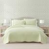 Martha Stewart – Queen Size Quilt Set, Soft & Smooth Sateen Bedding with a Light and Breathable Feel, 3 Piece Bed Set with Matching Pillowcases (Fern Embroidery Grey)(Vintage Scallop Green)