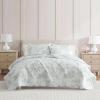 Martha Stewart – Queen Size Quilt Set, Soft & Smooth Sateen Bedding with a Light and Breathable Feel, 3 Piece Bed Set with Matching Pillowcases (Fern Embroidery Grey)(Vine Flora Green)