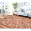 Martha Stewart x SAFAVIEH Outdoor Area Rug Collection – 8′ x 11’2″, Sunken Pool, Weather Resistant & Washable, Ideal for Patio, Backyard, Mudroom, Deck, Dining Space (MSR4245-213)(Cayenne)