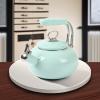 Martha Stewart 1.5-Quart Enamel on Steel Carbon Steel Tea Kettle w/Stainless Steel Handle – Martha Blue